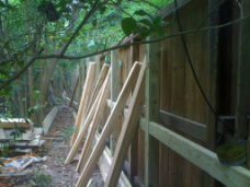 Wood Privacy Fence Cost